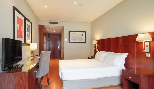 Double Room Single Use, 1 Double Bed