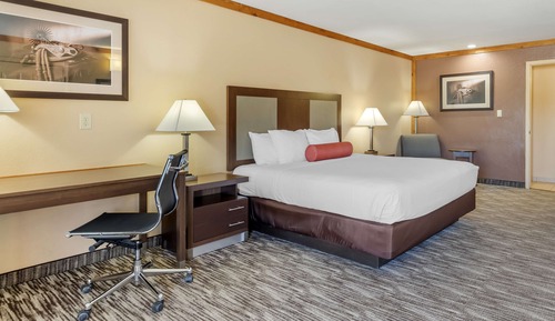 Standard Room, 1 King Bed, Non Smoking, Microwave