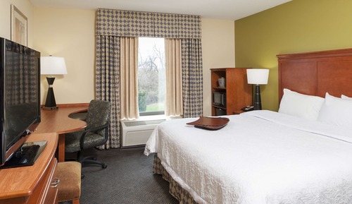 Room, 1 King Bed, Accessible, Non Smoking