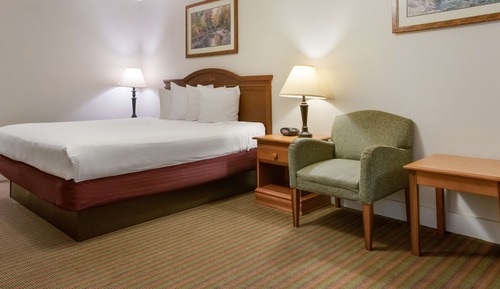 Standard Room, 1 King Bed, Non Smoking