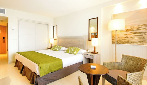 Basic Double Room