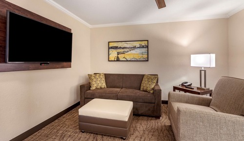 Suite, 1 King Bed, Non Smoking, Refrigerator & Microwave (with Sofabed)