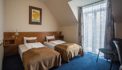 Standard Twin Room