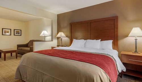 Suite, 1 King Bed with Sofa bed, Non Smoking