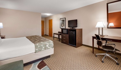 Standard Room, 1 Queen Bed, Non Smoking, Refrigerator & Microwave