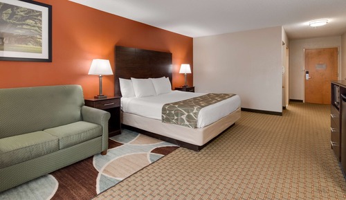 Standard Room, 1 King Bed, Non Smoking, Refrigerator & Microwave