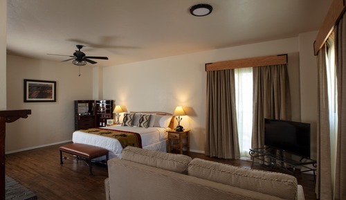 Elite Suite, 1 King Bed with Sofa bed, Pool View
