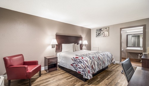 Deluxe Room, 1 King Bed, Accessible, Smoking (Walk-In Shower)