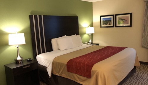 Standard Room, 1 King Bed, Non Smoking