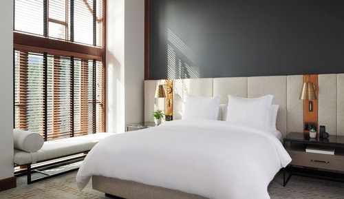 Executive Suite (Deluxe, King)