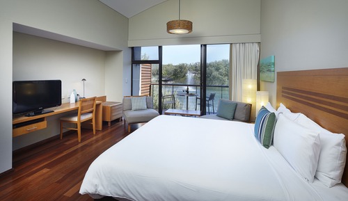 Studio, One King Bed, Lake View