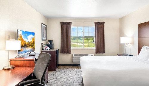 Room, 1 King Bed, Non Smoking