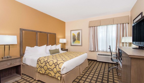 Room, 1 King Bed, Non Smoking