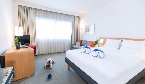 Executive Room, 1 King Bed with Sofa bed