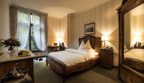 Classic Single Room with Forest View