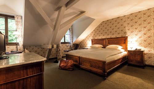 Deluxe double room with forest view