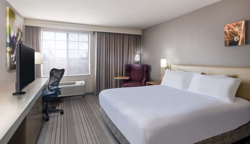 Room, 1 King Bed, Accessible
