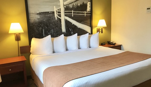 Junior Suite, 1 Bedroom, Non Smoking (1 King Bed)