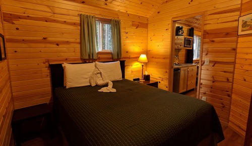 Family Room, 1 Bedroom (pets allowed)