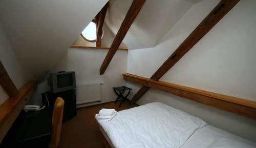 Superior Single Room