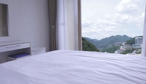 Deluxe Room (B)