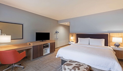 Room, 1 King Bed, Accessible (Roll-in Shower)