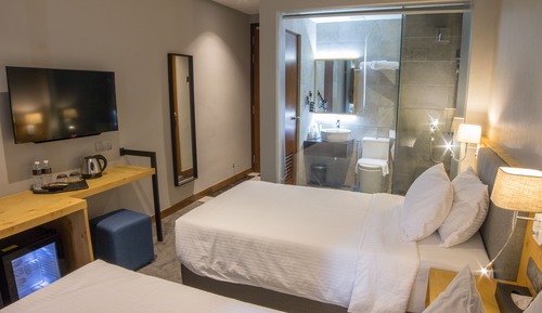 Deluxe Twin Room