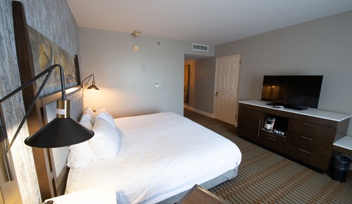 Classic Room, 1 King Bed, Accessible (Roll-In Shower)