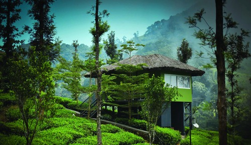 Vally View Cabin