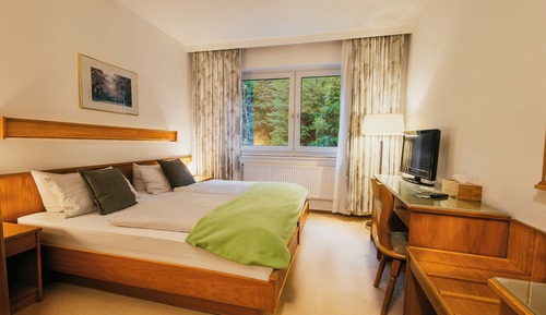 Standard Double Room