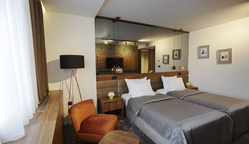 Deluxe Double or Twin Room