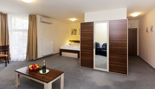Deluxe Double Room Single Use, 1 Twin Bed