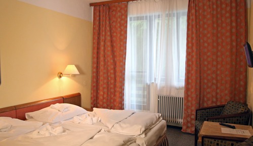 Standard Twin Room, 1 Bedroom, Park View, Annex Building