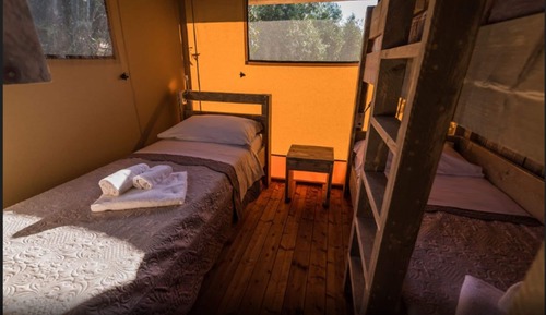 Tent, Accessible (Razza)