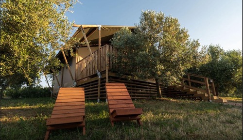 Tent (Frantoiano)