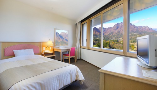 Standard Single Room, Mountain View