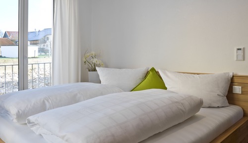 Premium Studio Suite, Non Smoking, Allergy Friendly (Wacholder)