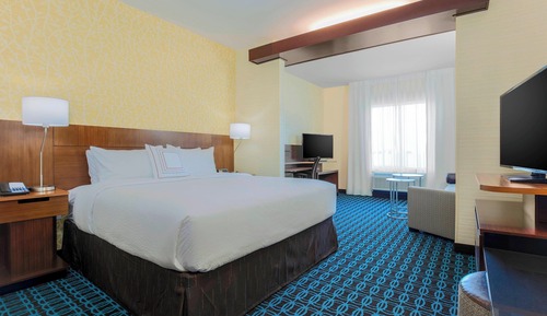 Suite, 1 King Bed with Sofa bed