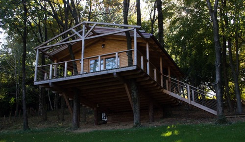 Tree House