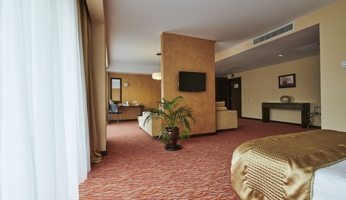 Junior Apartment