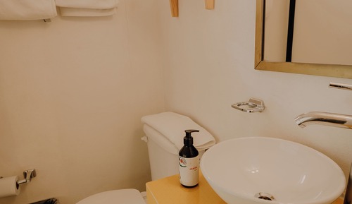 Standard Room, 1 King Bed, Ensuite