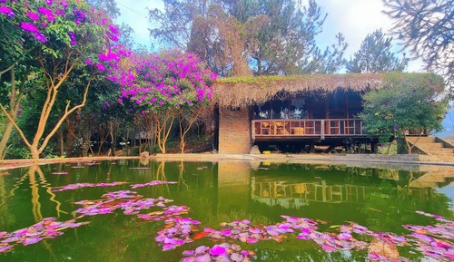 Bungalow 5