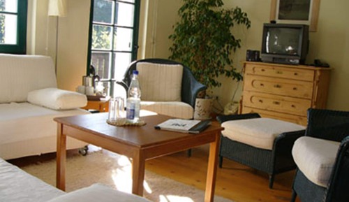 Basic Apartment