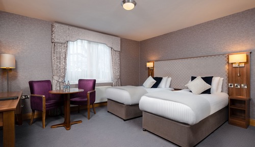 Deluxe Twin Room