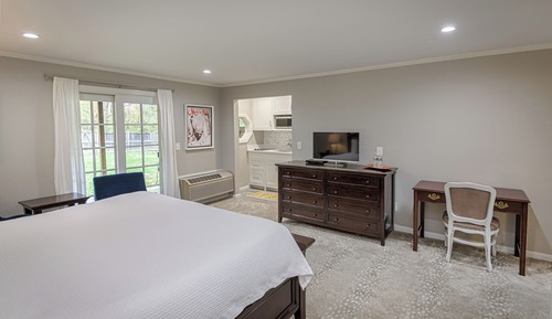Standard Studio Suite, 1 Bedroom, Non Smoking (King Studio Suite with Kitchenette)