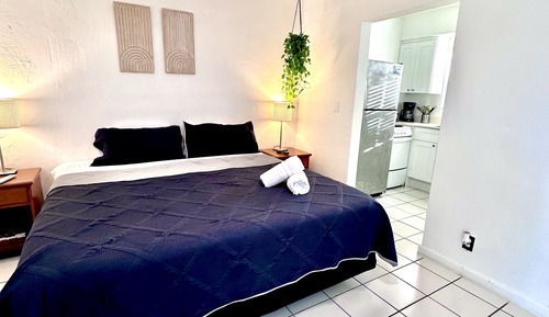 Basic Studio, 1 King Bed with Sofa bed