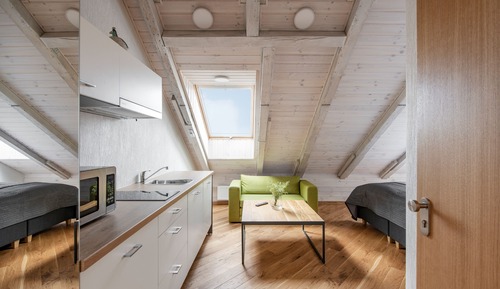 Family Studio Suite, 1 Queen Bed with Sofa bed, River View