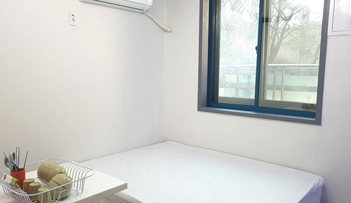 Studio (Blueberry)