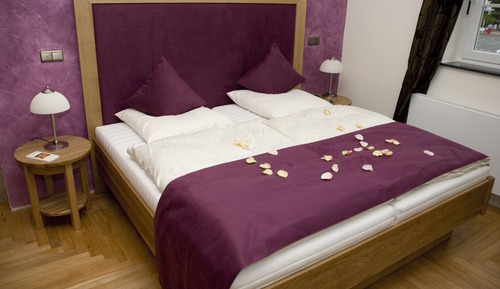 Wellness Suite
