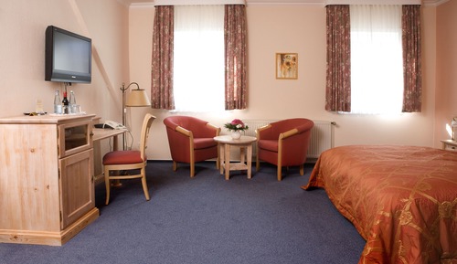 Standard Double Room